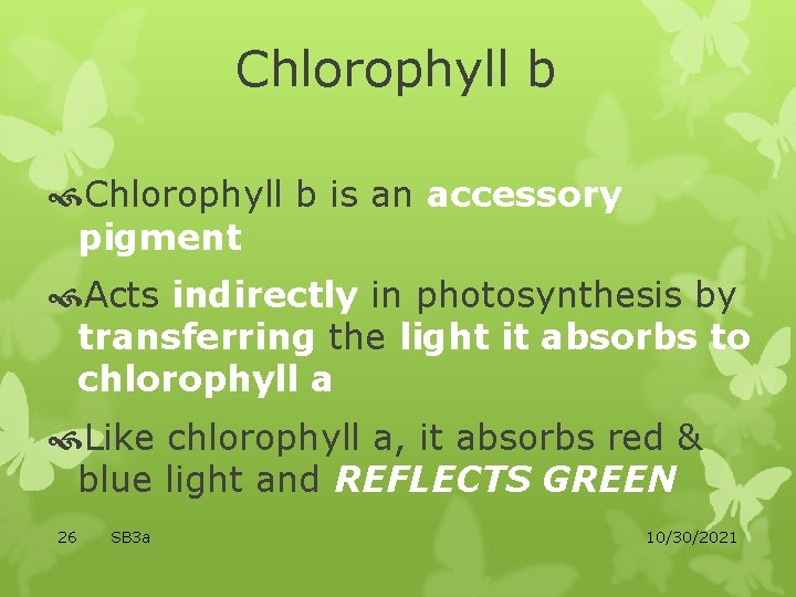 Chlorophyll b is an accessory pigment Acts indirectly in photosynthesis by transferring the light