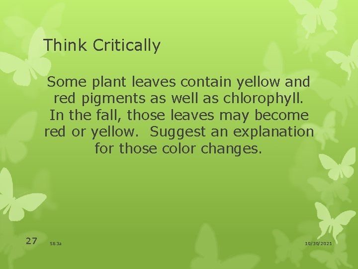 Think Critically Some plant leaves contain yellow and red pigments as well as chlorophyll.