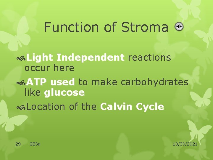 Function of Stroma Light Independent reactions occur here ATP used to make carbohydrates like