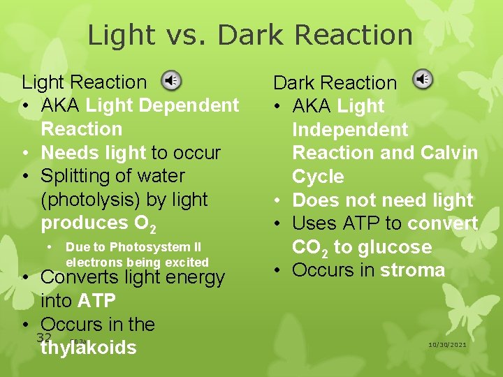 Light vs. Dark Reaction Light Reaction • AKA Light Dependent Reaction • Needs light