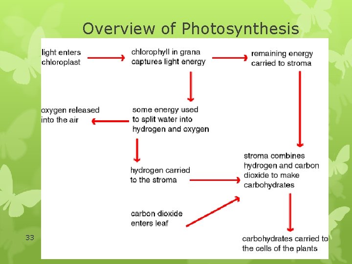 Overview of Photosynthesis 33 SB 3 a 10/30/2021 