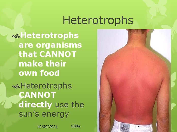 Heterotrophs are organisms that CANNOT make their own food Heterotrophs CANNOT directly use the