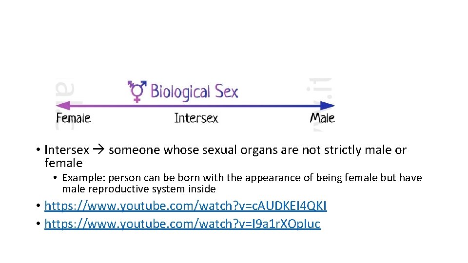  • Intersex someone whose sexual organs are not strictly male or female •