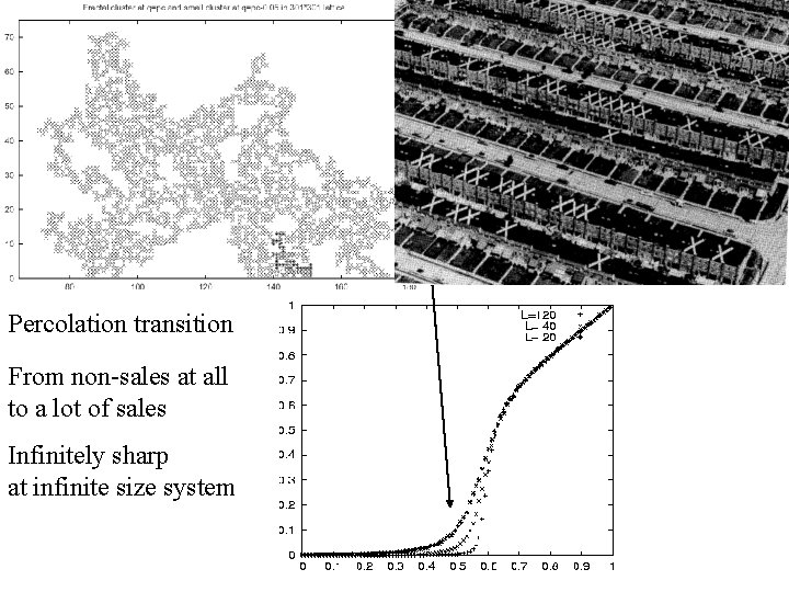Percolation transition From non-sales at all to a lot of sales Infinitely sharp at