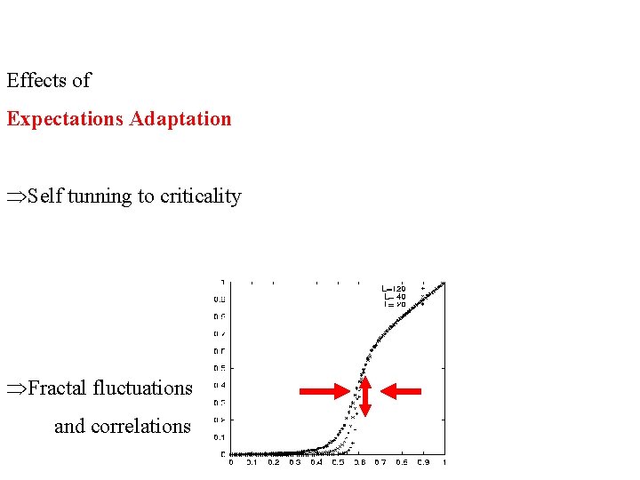 Effects of Expectations Adaptation ÞSelf tunning to criticality ÞFractal fluctuations and correlations 