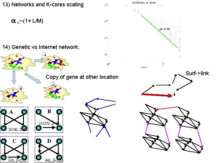 13) Networks and K-cores scaling K~(1+ L/M) 14) Genetic vs Internet network; A Copy