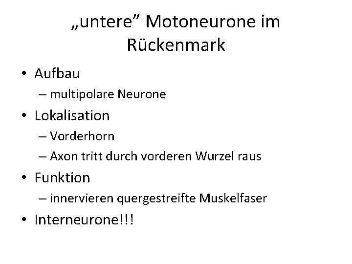 „untere” Motoneurone im Rückenmark • Aufbau – multipolare Neurone • Lokalisation – Vorderhorn –