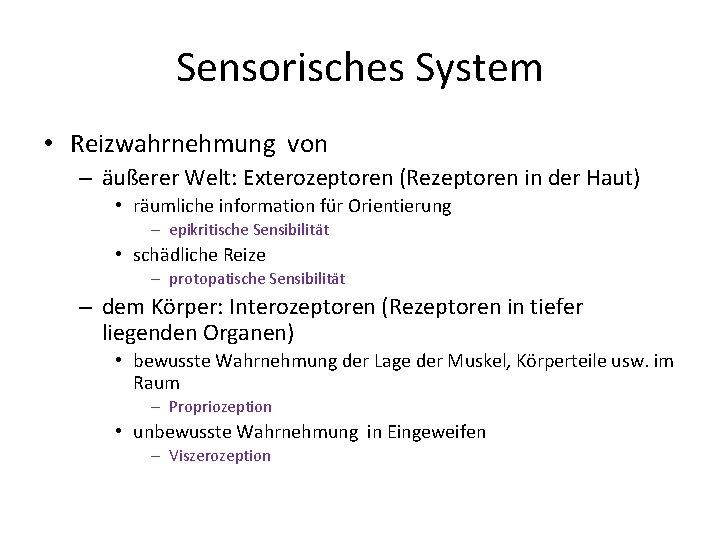 Sensorisches System • Reizwahrnehmung von – äußerer Welt: Exterozeptoren (Rezeptoren in der Haut) •