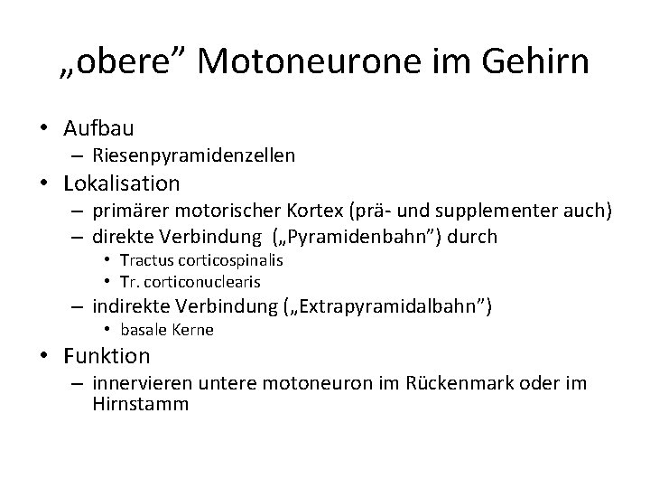 „obere” Motoneurone im Gehirn • Aufbau – Riesenpyramidenzellen • Lokalisation – primärer motorischer Kortex