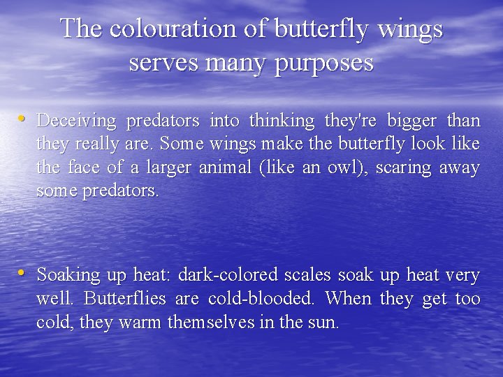The colouration of butterfly wings serves many purposes • Deceiving predators into thinking they're