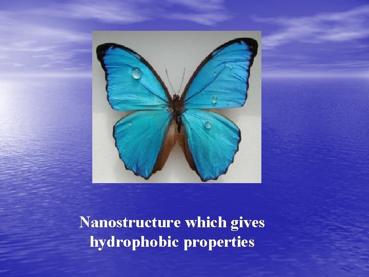 Nanostructure which gives hydrophobic properties 