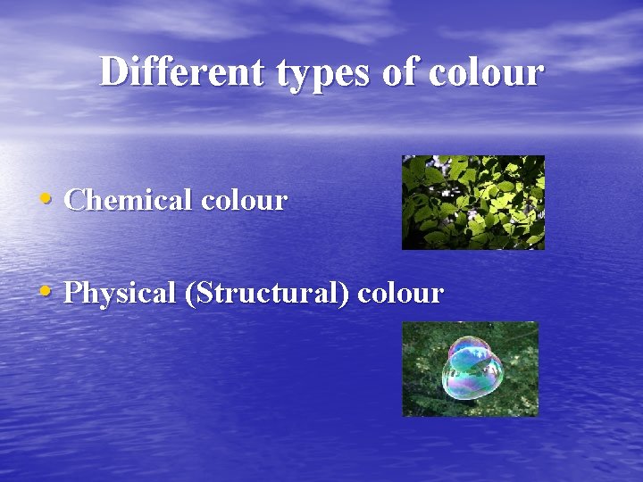 Different types of colour • Chemical colour • Physical (Structural) colour 