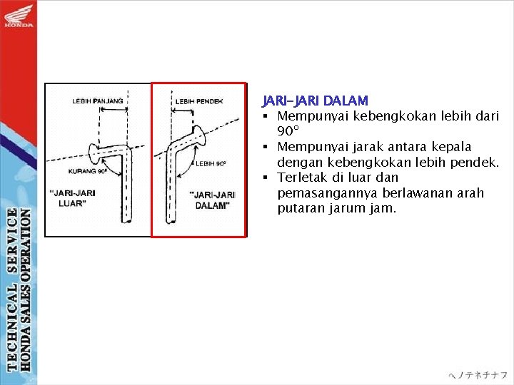 JARI-JARI DALAM § Mempunyai kebengkokan lebih dari 90º § Mempunyai jarak antara kepala dengan