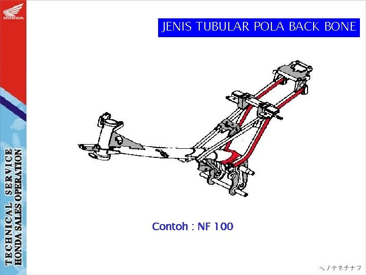 JENIS TUBULAR POLA BACK BONE Contoh : NF 100 