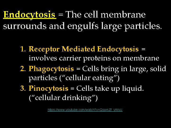 Endocytosis = The cell membrane surrounds and engulfs large particles. 1. Receptor Mediated Endocytosis Endocytosis = The cell membrane surrounds and engulfs large particles. 1. Receptor Mediated Endocytosis