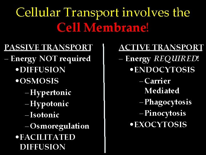 Cellular Transport involves the Cell Membrane! PASSIVE TRANSPORT – Energy NOT required • DIFFUSION