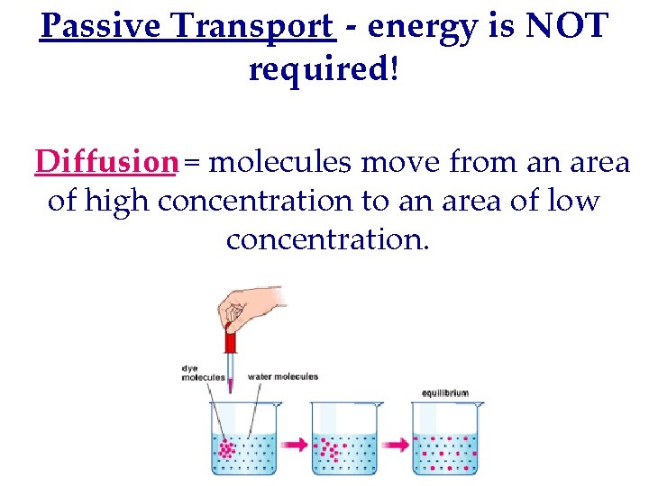 Passive Transport - energy is NOT required! Diffusion = molecules move from an area