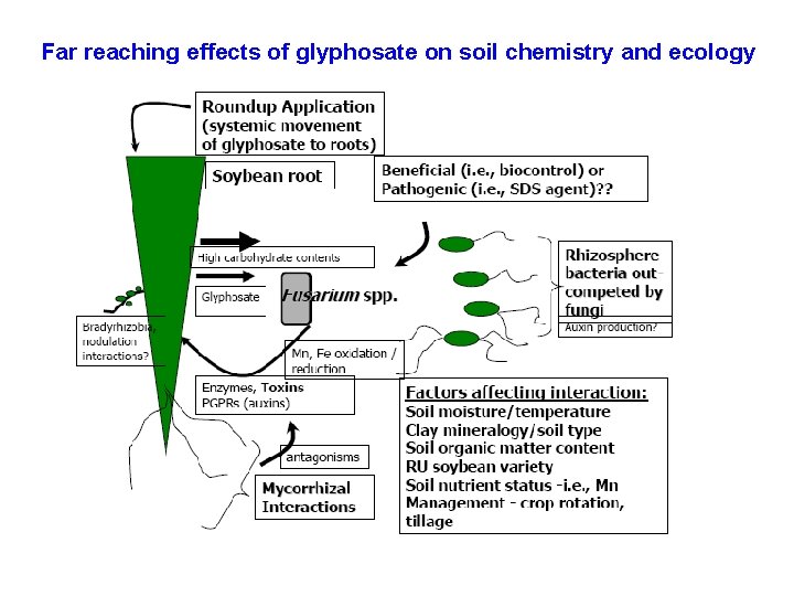 Far reaching effects of glyphosate on soil chemistry and ecology 