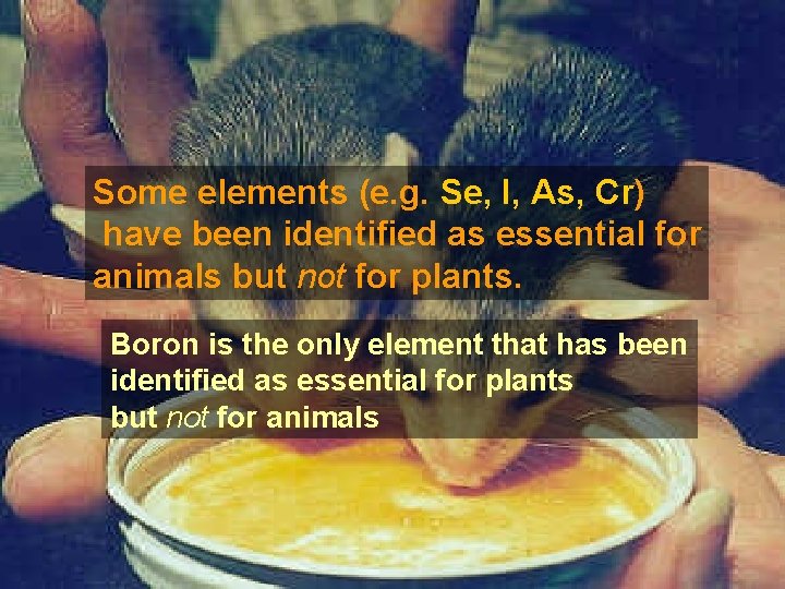 Some elements (e. g. Se, I, As, Cr) have been identified as essential for