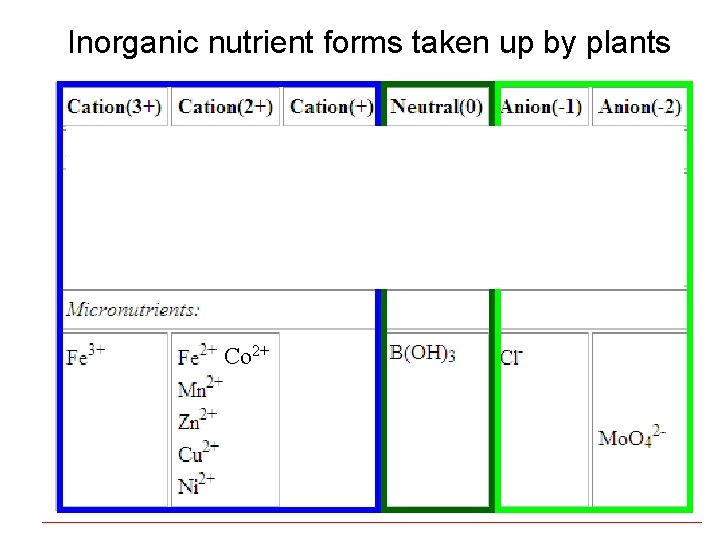 Inorganic nutrient forms taken up by plants Co 2+ 