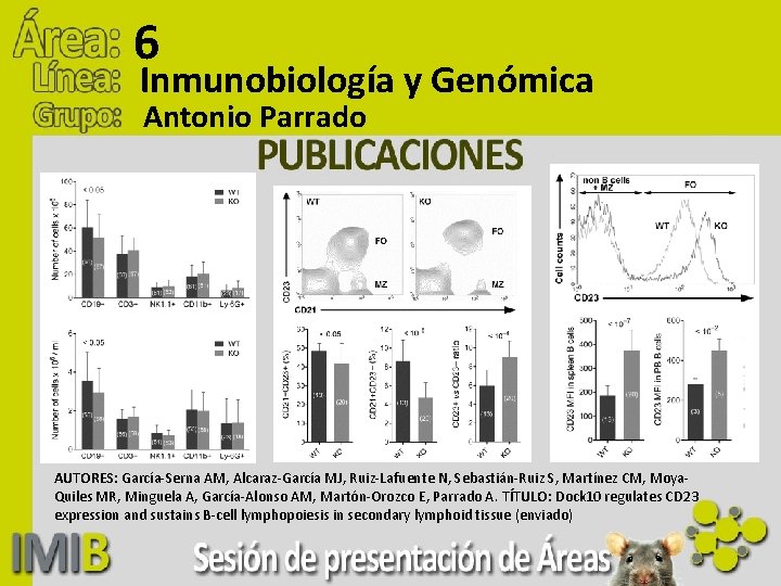 6 Inmunobiología y Genómica Antonio Parrado AUTORES: García-Serna AM, Alcaraz-García MJ, Ruiz-Lafuente N, Sebastián-Ruiz