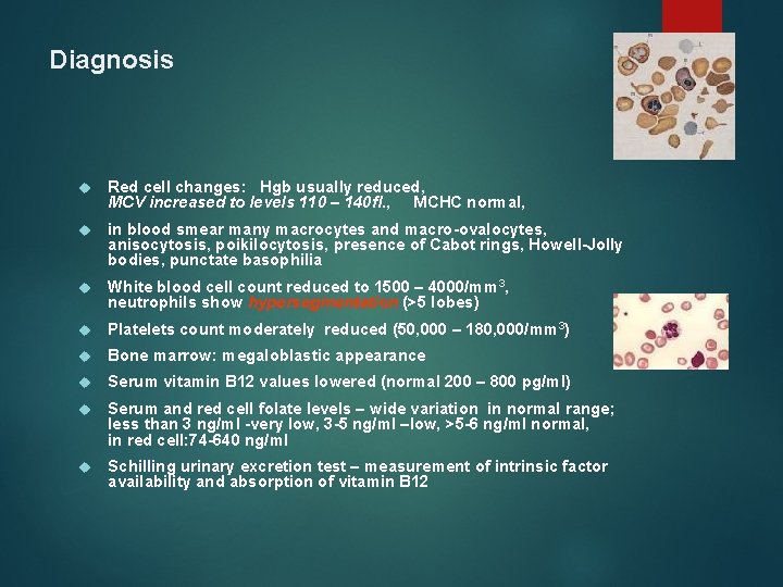 Diagnosis Red cell changes: Hgb usually reduced, MCV increased to levels 110 – 140