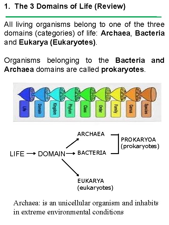 1. The 3 Domains of Life (Review) All living organisms belong to one of