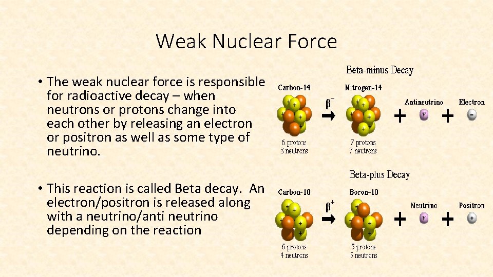 Weak Nuclear Force • The weak nuclear force is responsible for radioactive decay –