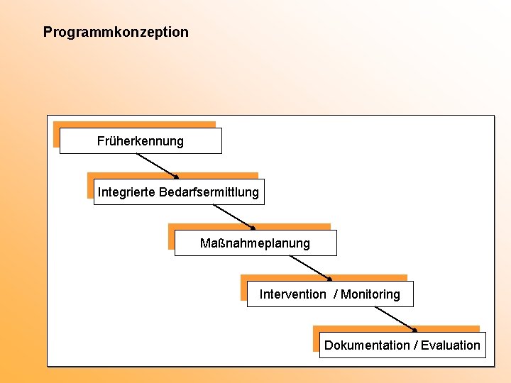 Programmkonzeption Früherkennung Integrierte Bedarfsermittlung Maßnahmeplanung Intervention / Monitoring Dokumentation / Evaluation 