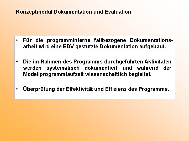 Konzeptmodul Dokumentation und Evaluation • Für die programminterne fallbezogene Dokumentationsarbeit wird eine EDV gestützte