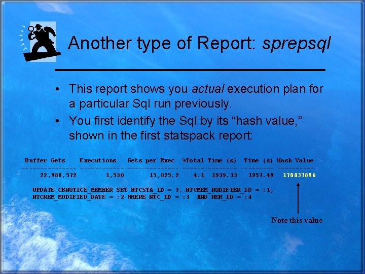 Another type of Report: sprepsql • This report shows you actual execution plan for