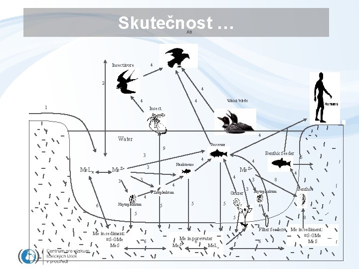 Skutečnost … Air Insectivore 4 2 4 4 Water birds 4 1 Insect 4