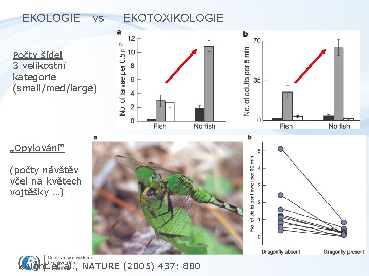 EKOLOGIE vs EKOTOXIKOLOGIE Počty šídel 3 velikostní kategorie (small/med/large) „Opylování“ (počty návštěv včel na