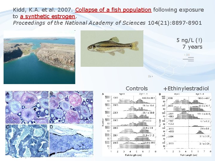 Kidd, K. A. et al. 2007. Collapse of a fish population following exposure to