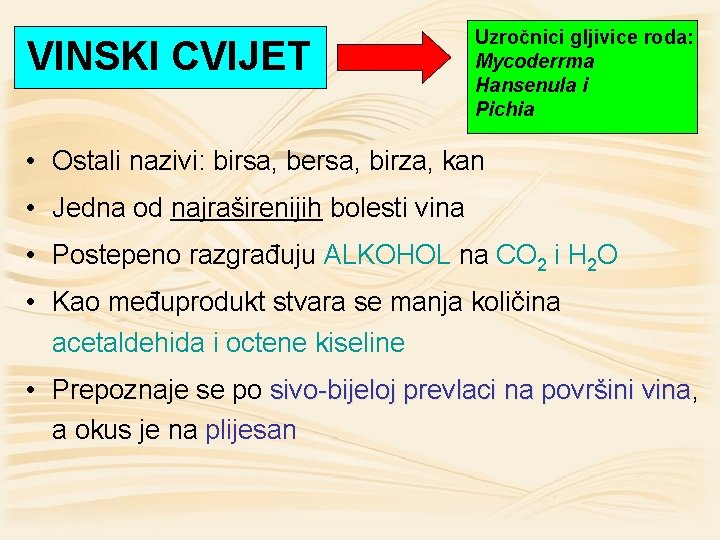 VINSKI CVIJET Uzročnici gljivice roda: Mycoderrma Hansenula i Pichia • Ostali nazivi: birsa, bersa,