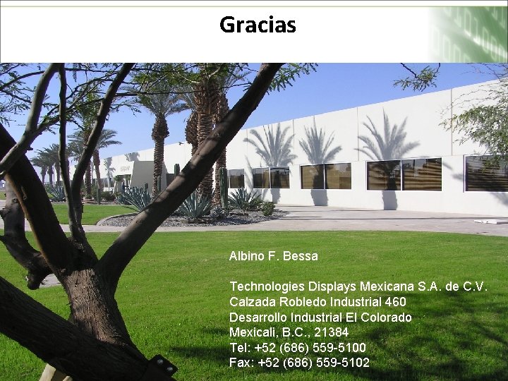 Gracias Albino F. Bessa Technologies Displays Mexicana S. A. de C. V. Calzada Robledo