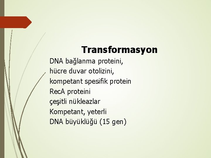 Transformasyon DNA bağlanma proteini, hücre duvar otolizini, kompetant spesifik protein Rec. A proteini çeşitli