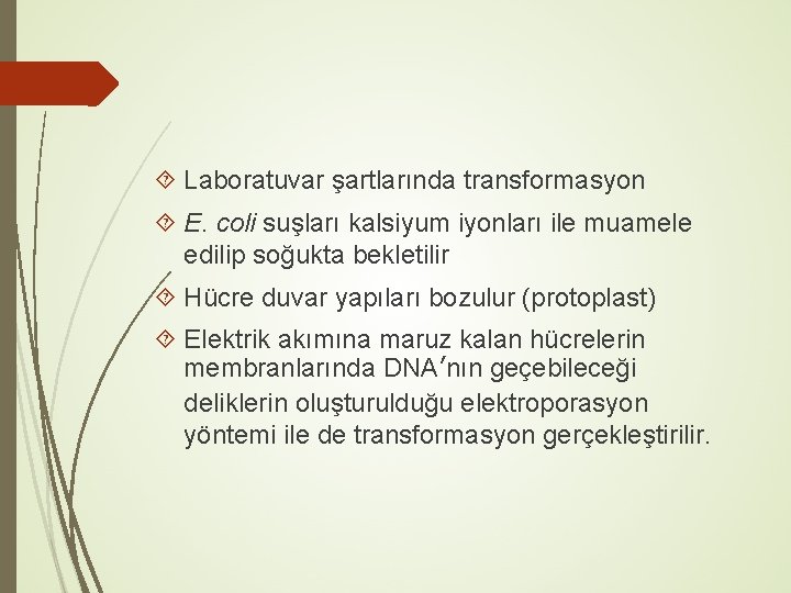  Laboratuvar şartlarında transformasyon E. coli suşları kalsiyum iyonları ile muamele edilip soğukta bekletilir