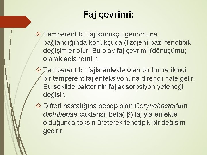 Faj çevrimi: Temperent bir faj konukçu genomuna bağlandığında konukçuda (lizojen) bazı fenotipik değişimler olur.