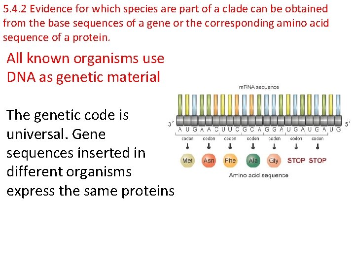 5. 4. 2 Evidence for which species are part of a clade can be