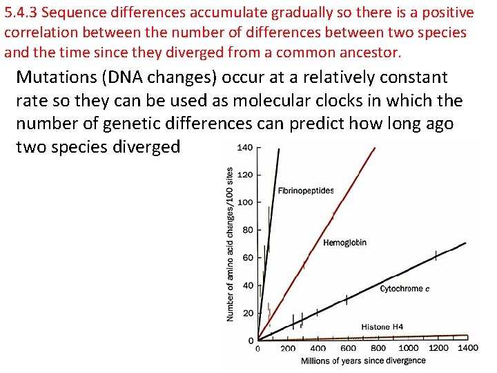5. 4. 3 Sequence differences accumulate gradually so there is a positive correlation between