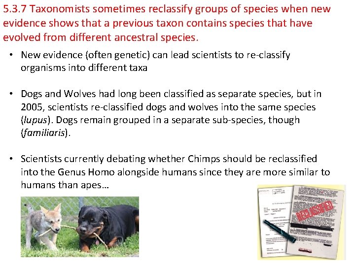 5. 3. 7 Taxonomists sometimes reclassify groups of species when new evidence shows that