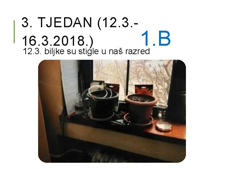 3. TJEDAN (12. 3. 16. 3. 2018. ) 1. B 12. 3. biljke su