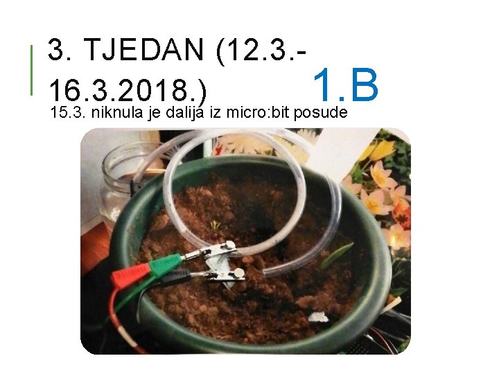 3. TJEDAN (12. 3. 16. 3. 2018. ) 1. B 15. 3. niknula je