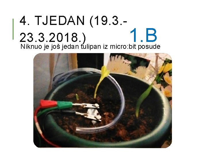 4. TJEDAN (19. 3. 23. 3. 2018. ) 1. B Niknuo je još jedan