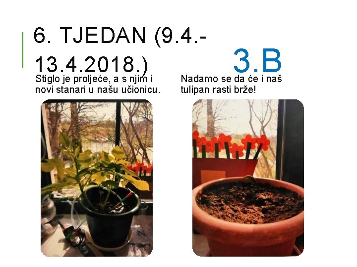 6. TJEDAN (9. 4. 13. 4. 2018. ) 3. B Stiglo je proljeće, a