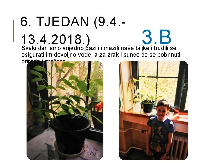 6. TJEDAN (9. 4. 13. 4. 2018. ) 3. B Svaki dan smo vrijedno