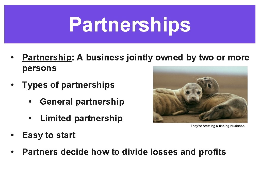 Partnerships • Partnership: A business jointly owned by two or more persons • Types