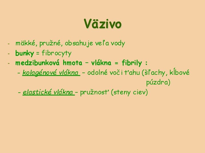 Väzivo - mäkké, pružné, obsahuje veľa vody bunky = fibrocyty medzibunková hmota – vlákna