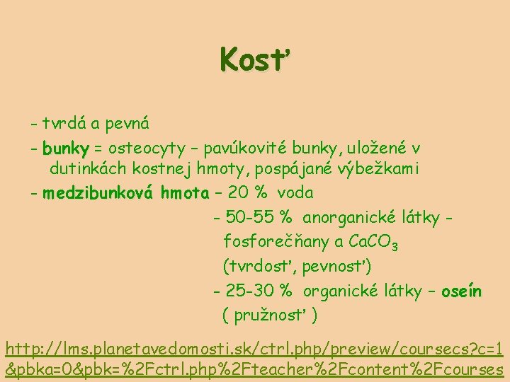 Kosť - tvrdá a pevná - bunky = osteocyty – pavúkovité bunky, uložené v